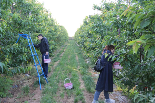 151592212078952249.png QQ瀏覽器截圖20200615170413.png