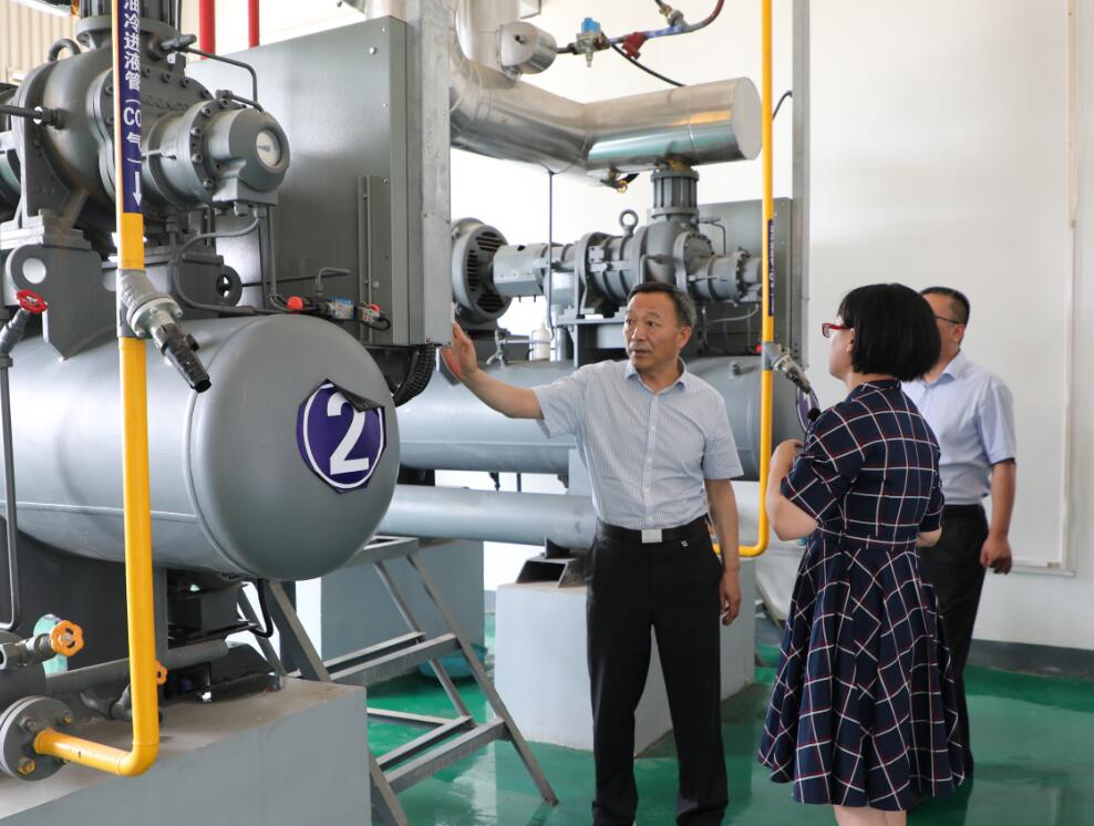 231592893620503439.jpeg 231592893620503439.jpeg