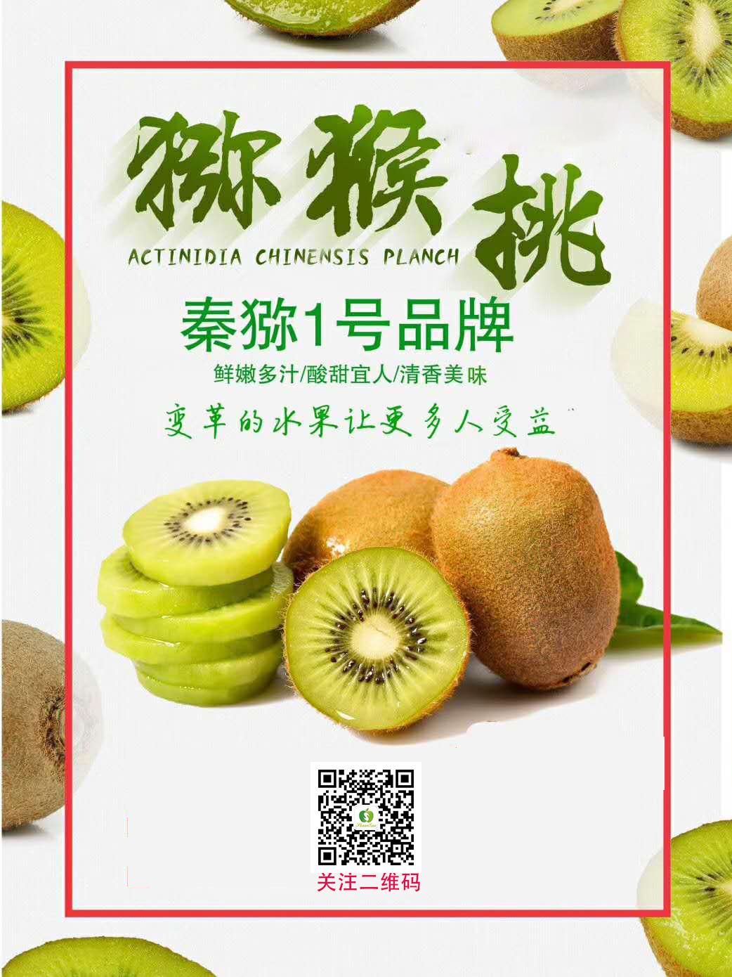 101594344398694495.jpeg 圖片5.jpg