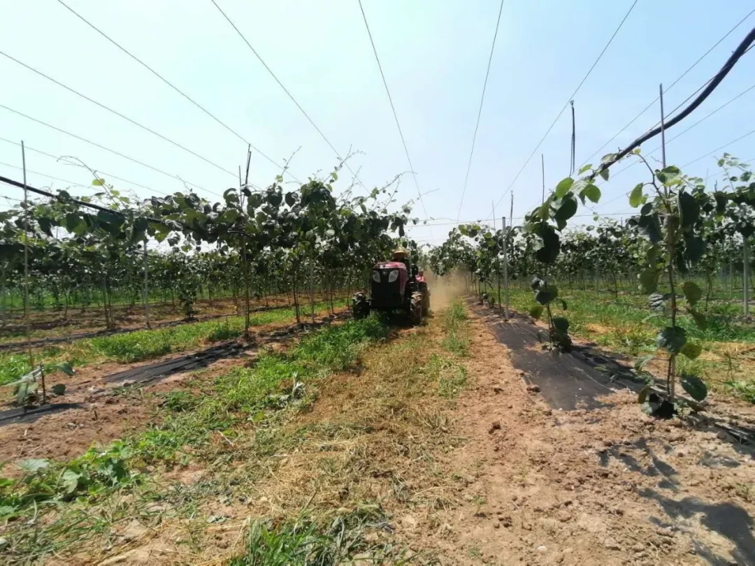 101594344642871738.jpeg 640.webp (6).jpg