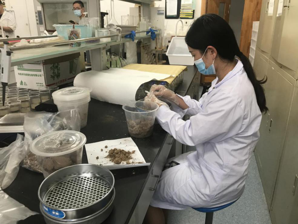 101594344730782372.png 640 (3).png