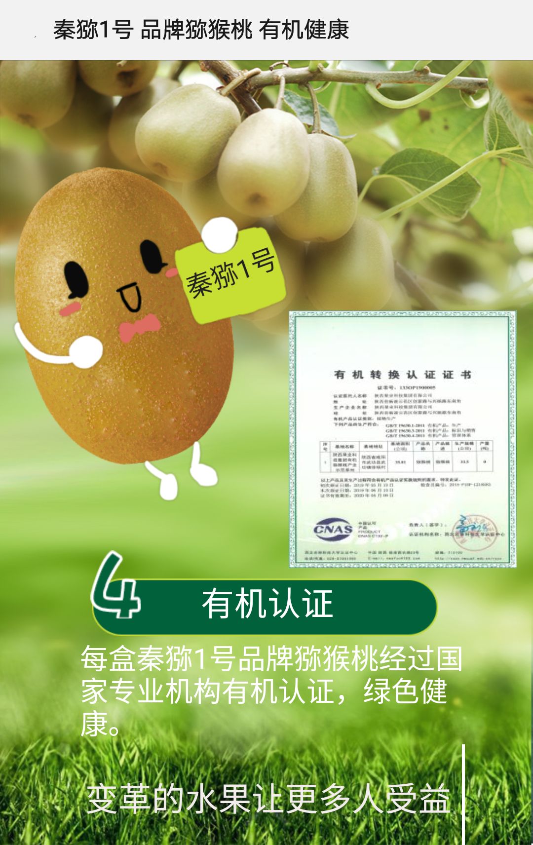 101594373741623469.jpeg 101594373741623469.jpeg