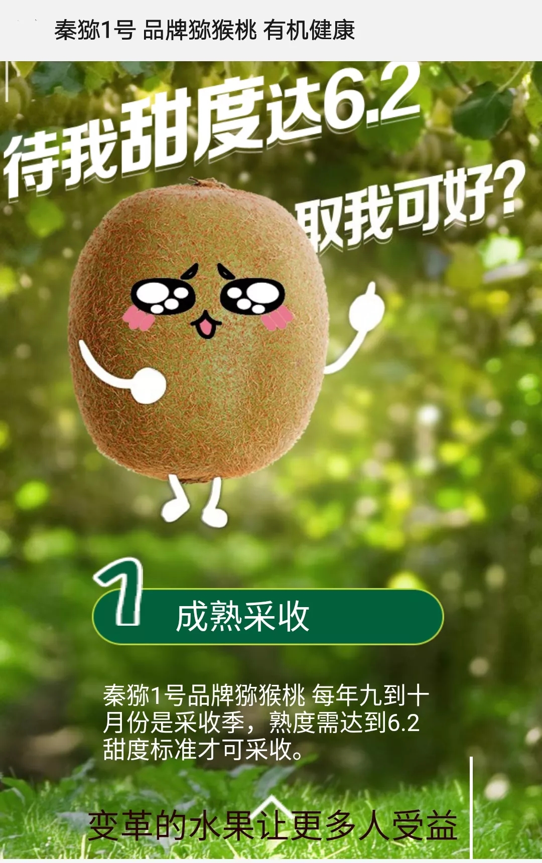 101594373896787233.jpeg 101594373896787233.jpeg