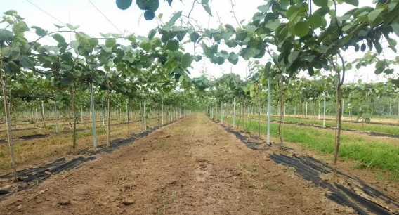 141594690017468261.jpeg 791a5f1101b36241ed5cce2446aff6b.jpg