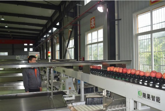 141594690190988213.jpeg 542125fe8acdfd9b1714454621391ce.jpg