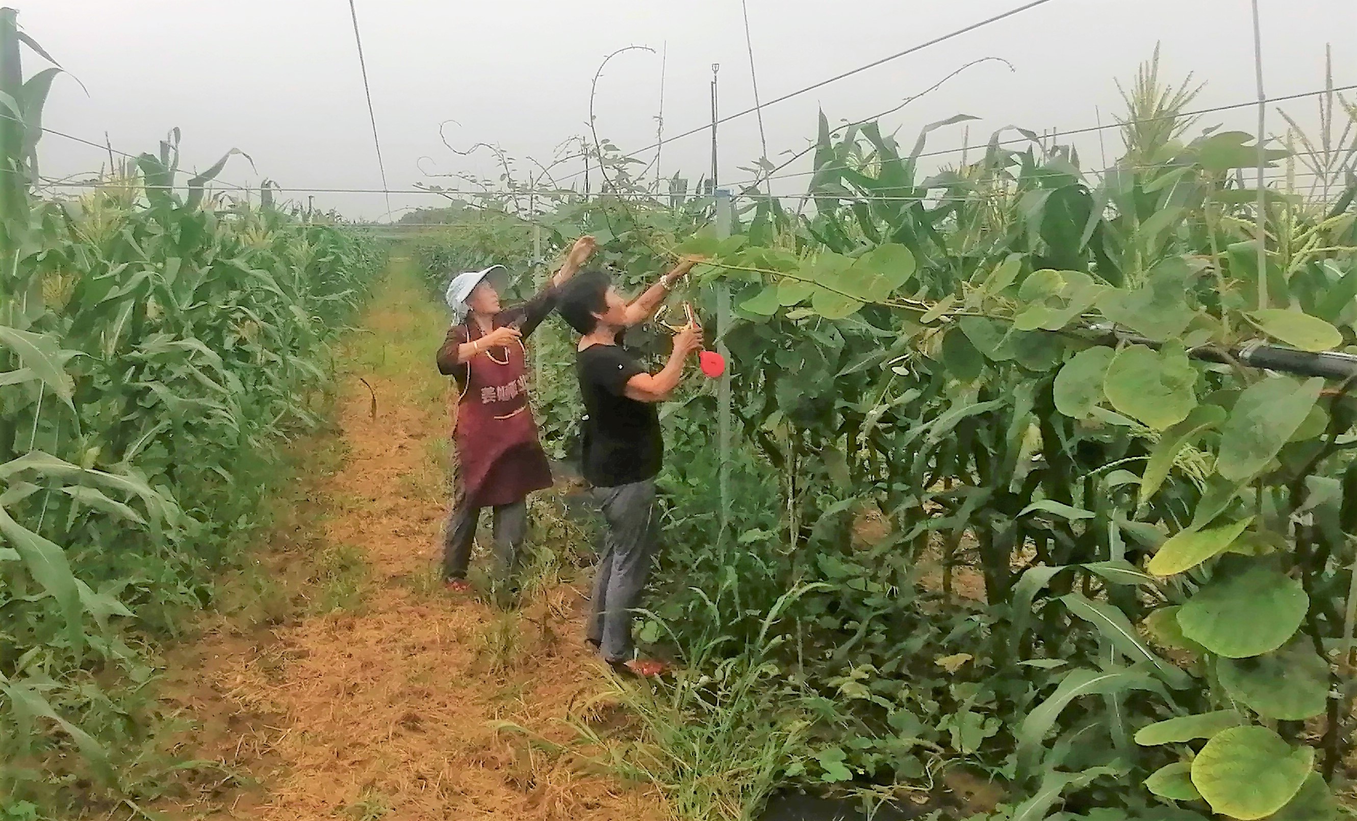 291595983796171924.jpeg 291595983796171924.jpeg