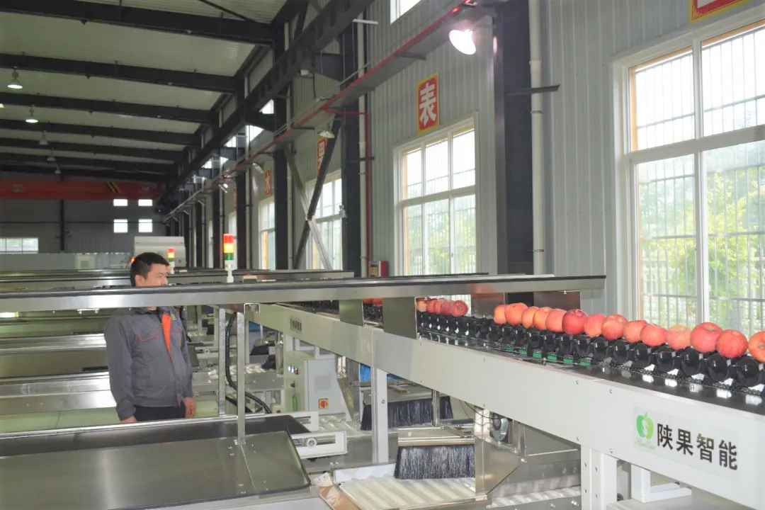 291595984251510525.png 291595984251510525.png