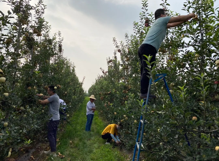 031596423439275867.png 39.png