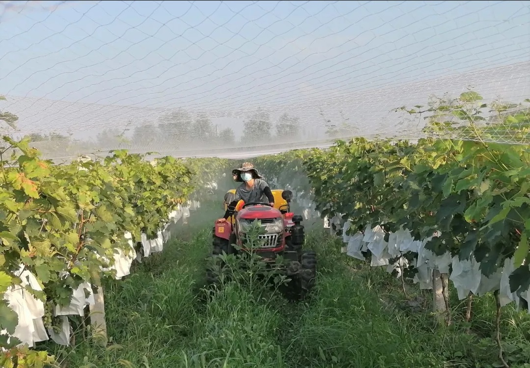 051596590326965253.jpeg 基地21.jpg