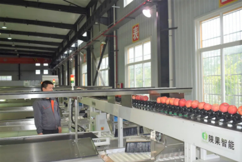 051596591828421181.png 陜果智能.png