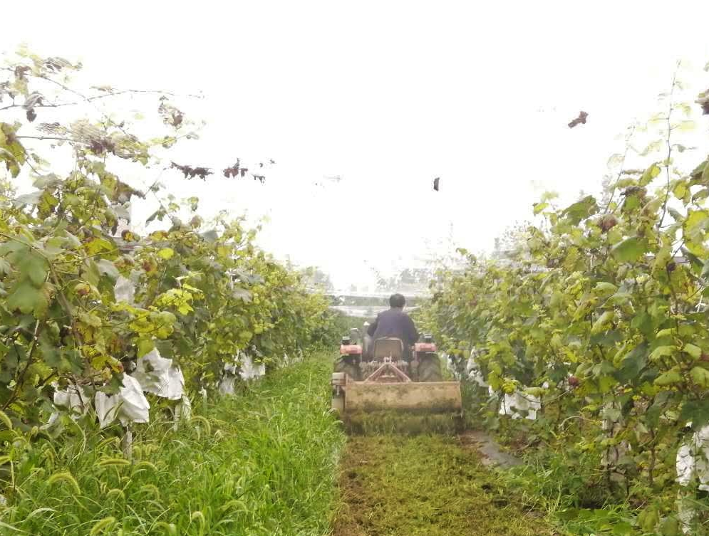 111597108130830472.png 111597108130830472.png