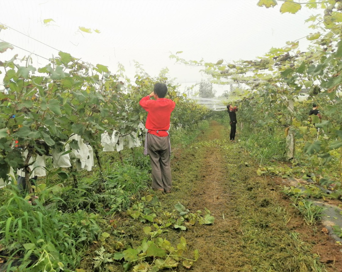 111597108147108322.jpeg 111597108147108322.jpeg