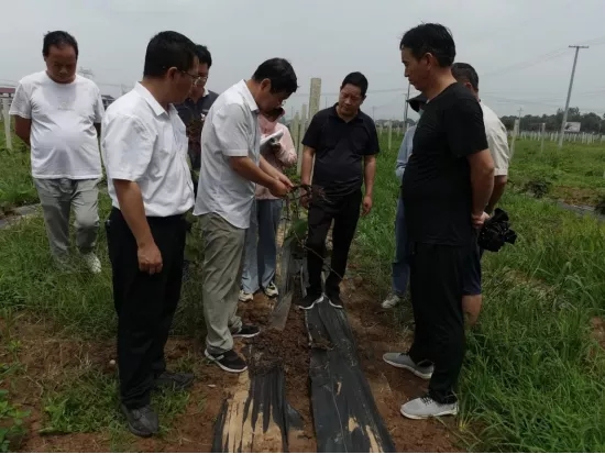 111597110327326287.jpeg 640_wx_fmt=png&tp=webp&wxfrom=5&wx_lazy=1&wx_co=1.webp (1).jpg