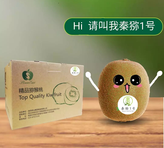 191597801466964763.png 最新秦獼1號圖.png