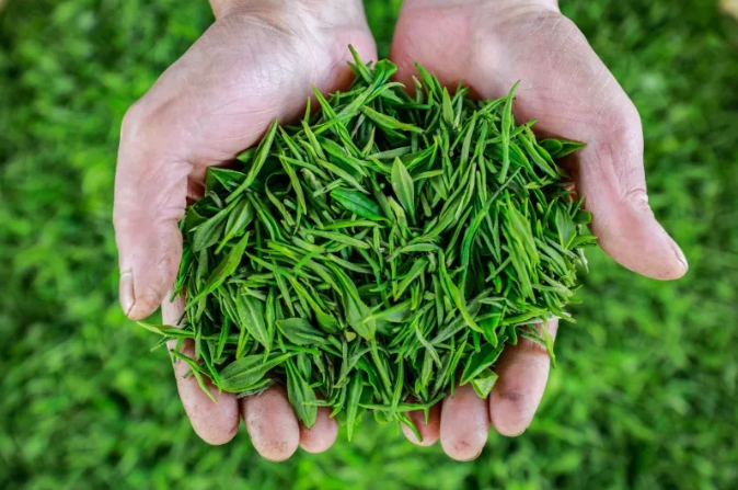 191597825232491644.png 93.png