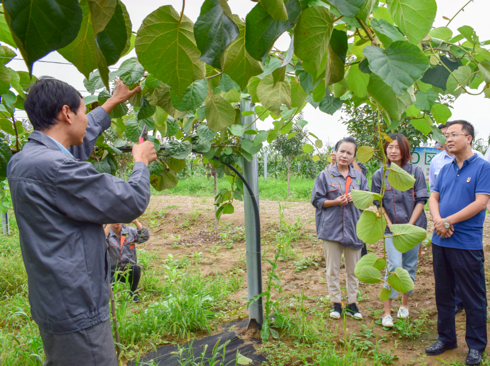 221598062402690619.png 微信圖片_20200822101056.png