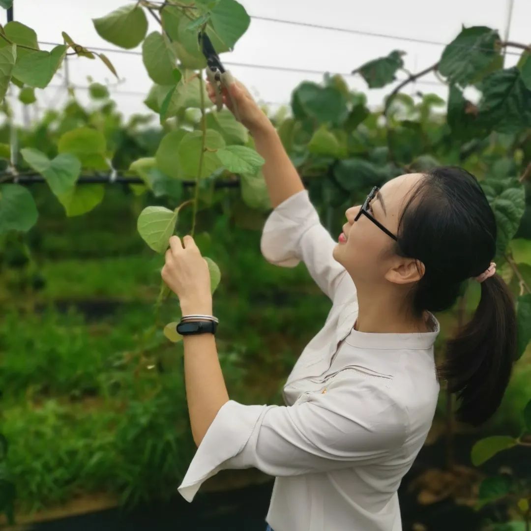 221598062523794740.jpeg 微信圖片_20200822101139.jpg