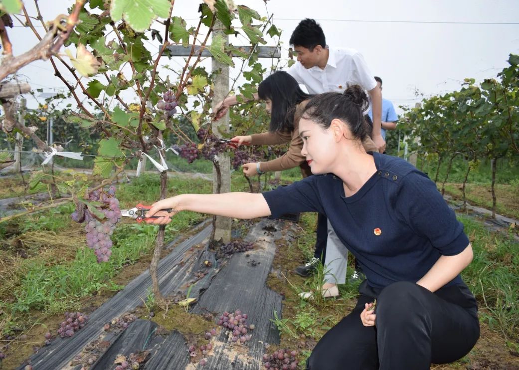 221598062567969611.jpeg 微信圖片_20200822101212.jpg