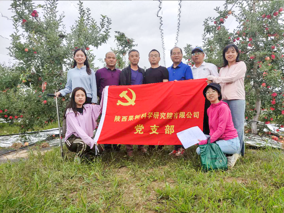 251598346913909053.png 7.png