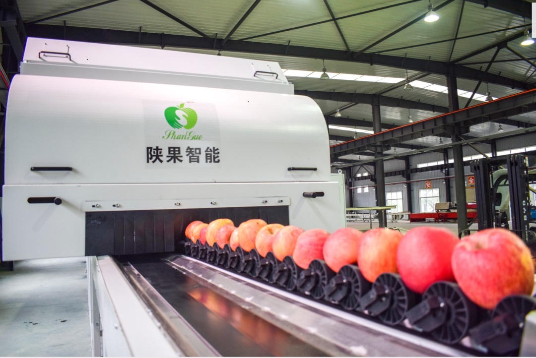 251598347061677448.jpeg 11.jpg