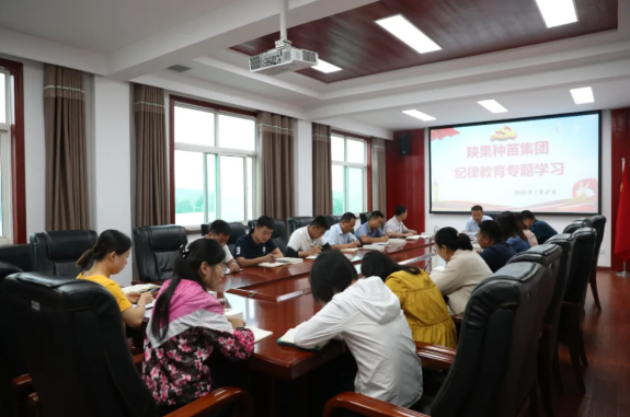 261598403681433985.png 3.png