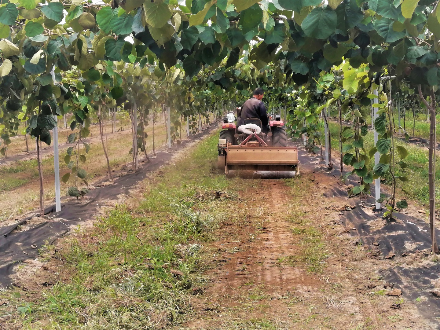 311598867670692217.jpeg 44.jpg