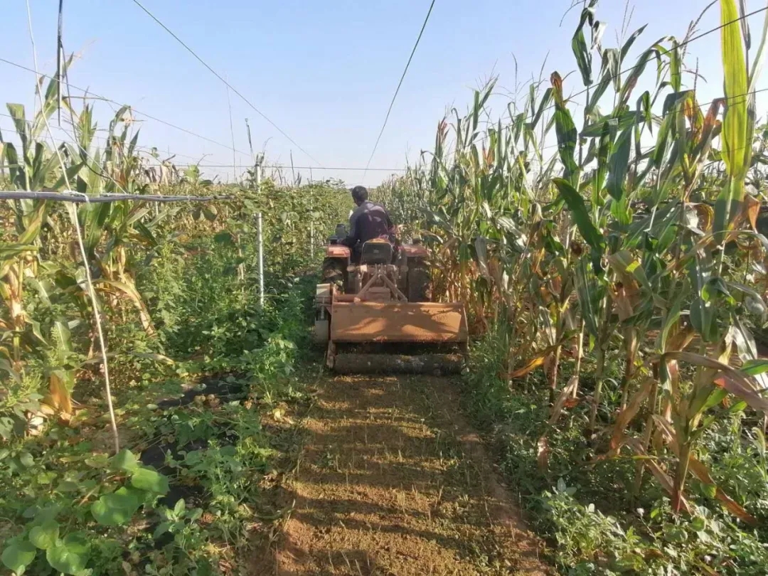 091599646610888875.jpeg 640_wx_fmt=jpeg&tp=webp&wxfrom=5&wx_lazy=1&wx_co=1.webp (7).jpg