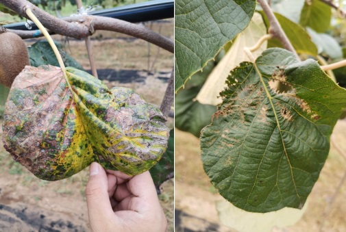 091599646636394871.jpeg 33.jpg