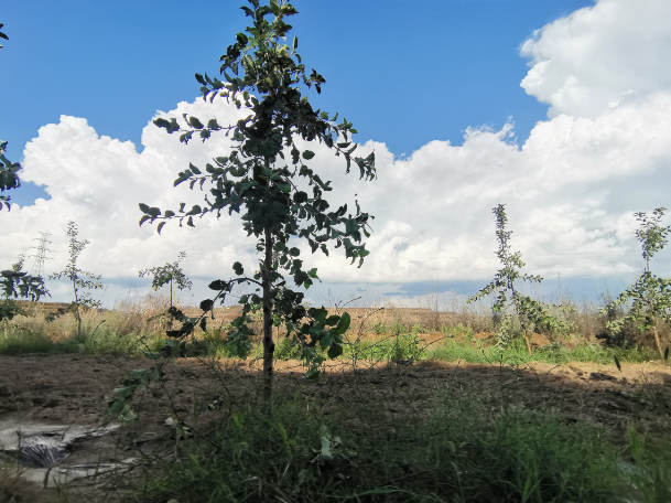 161600238570622254.png 30.png