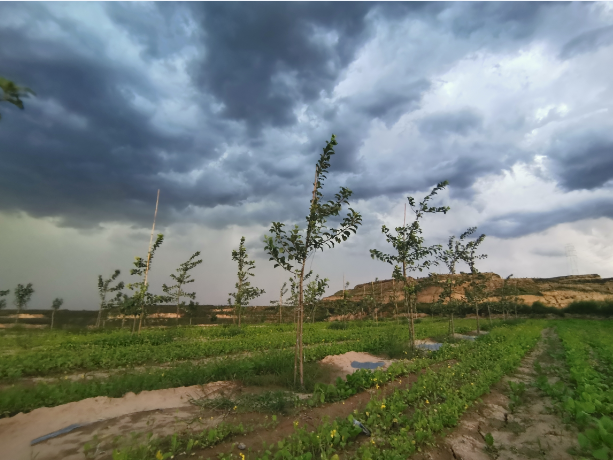 161600238582434695.png 31.png