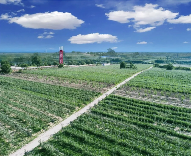 231600822419490617.png 74.png