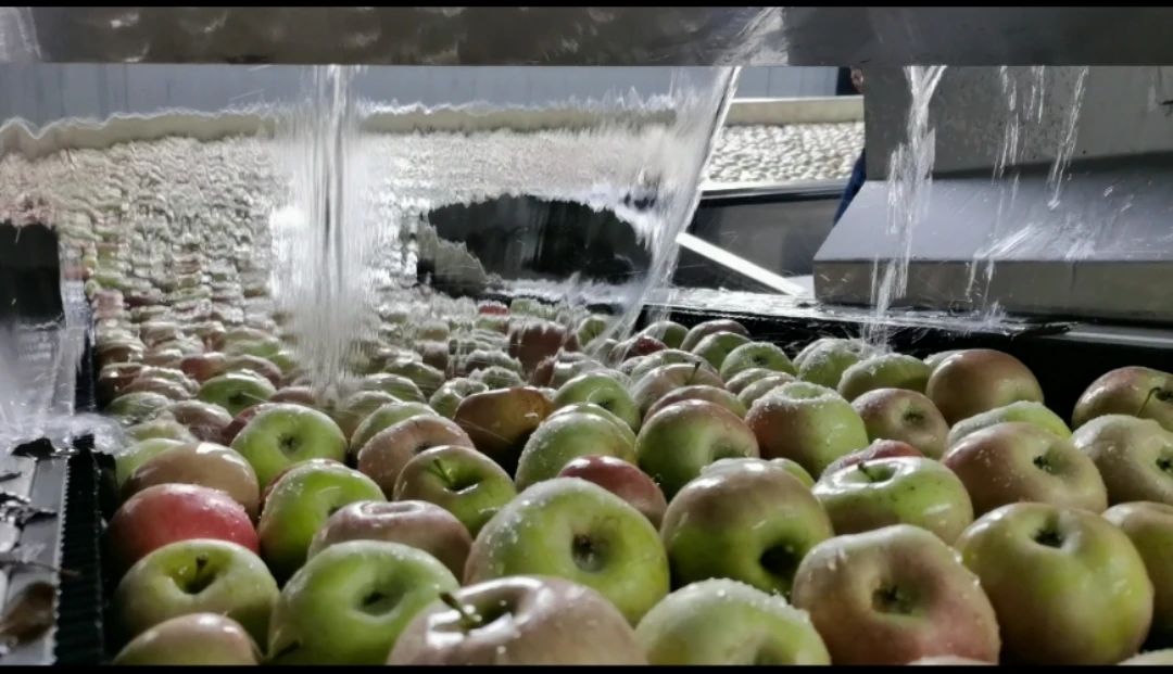 241600953442692469.jpeg 微信圖片_20200924211437.jpg