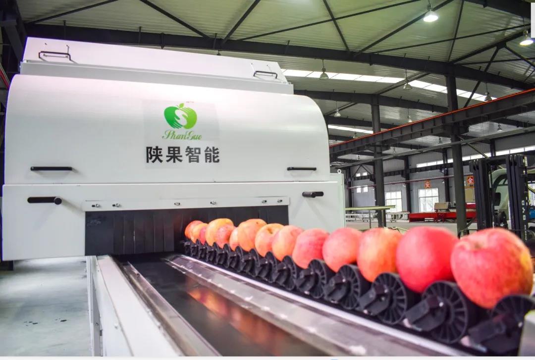 281601254238564645.jpeg 微信圖片_20200928085031.jpg