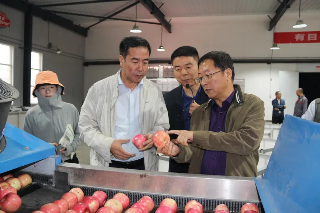 101602302095896945.jpeg 2.jpg