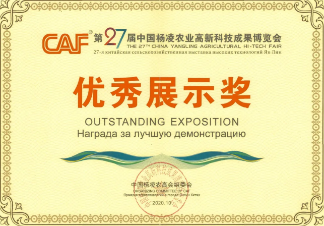 271603780132368184.png 41.png