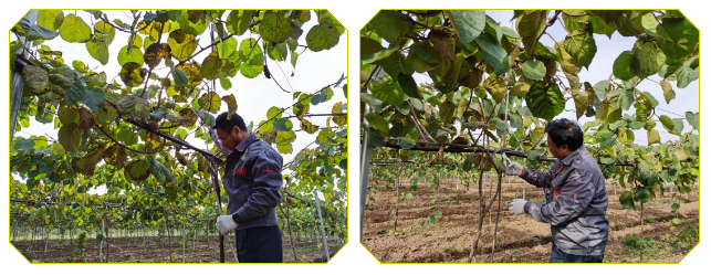 041604452732191481.png 14.png