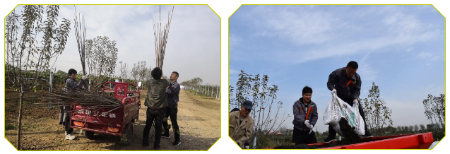 041604452742886953.png 15.png