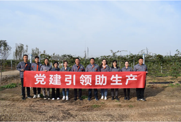 041604452752858757.png 16.png