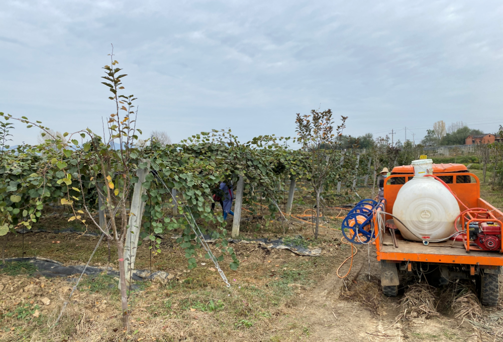 121605142961111525.png 121605142961111525.png