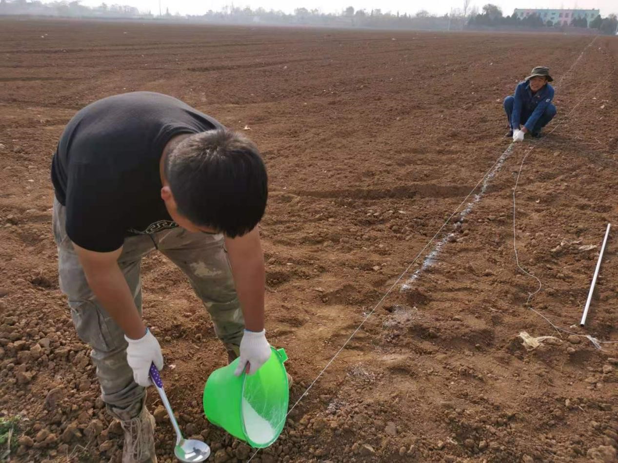 121605143034211177.jpeg 121605143034211177.jpeg