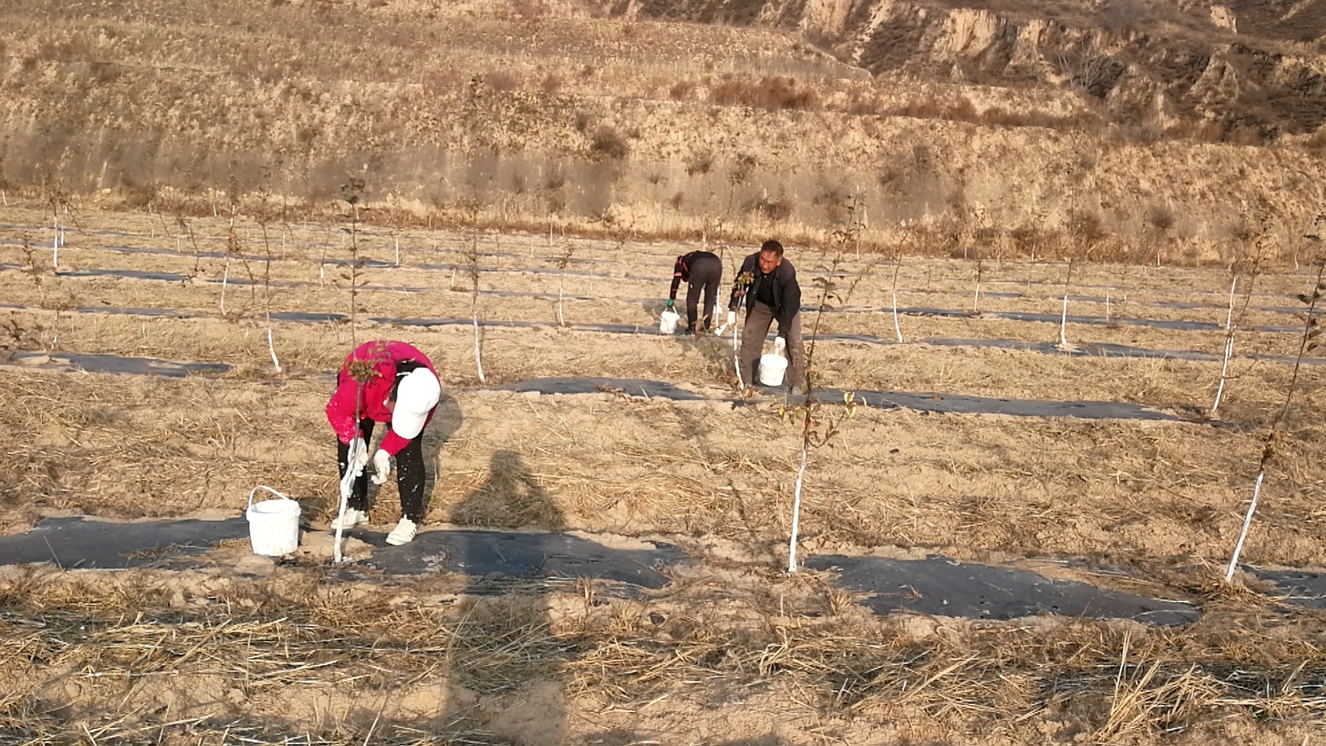 121605143068545708.jpeg 121605143068545708.jpeg