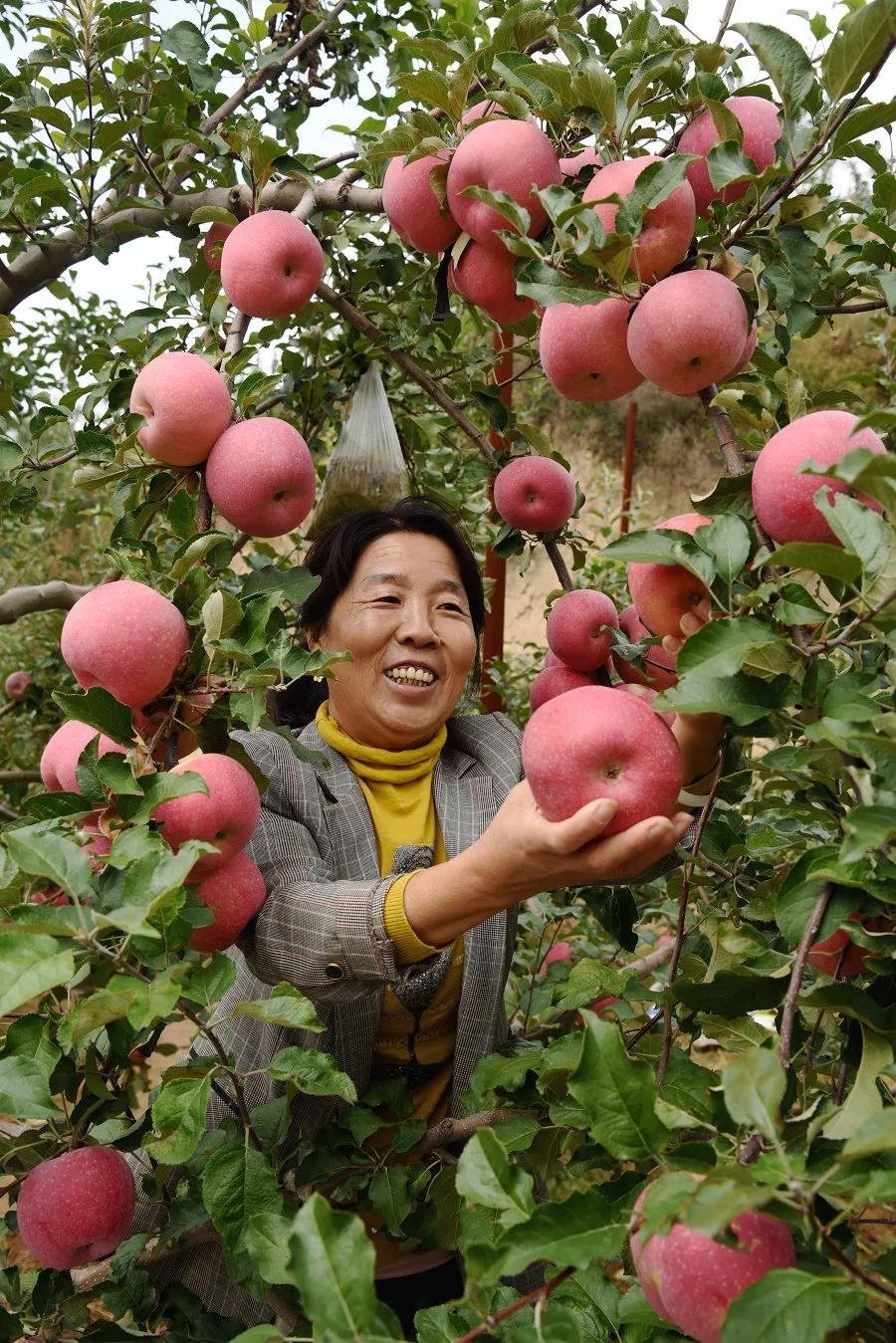 171605605119760467.jpeg 微信圖片_20201117172430.jpg