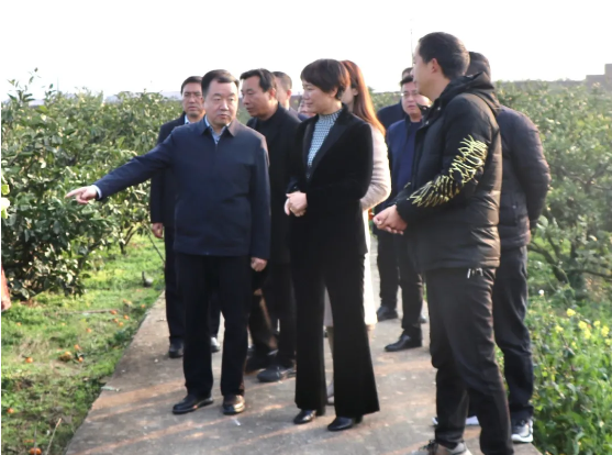 291609203382906025.png 16.png