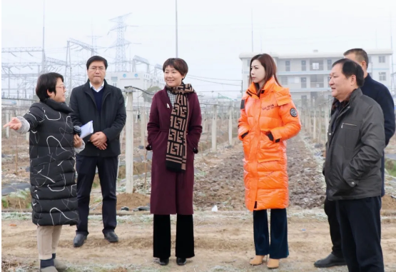 291609203392976194.png 17.png