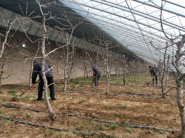 071612662230873984.png 66.png