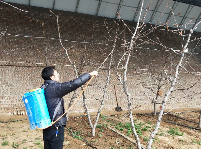 071612662245558382.png 67.png