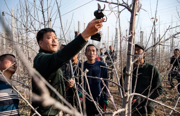 031614741763963457.png 1.png