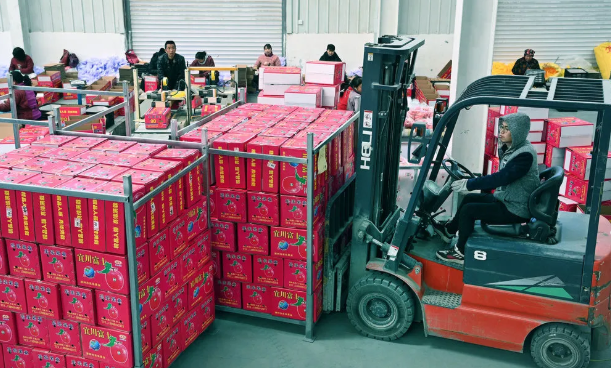 031614741784389287.png 3.png