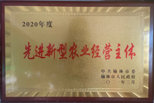 311617156529294809.png 6.png