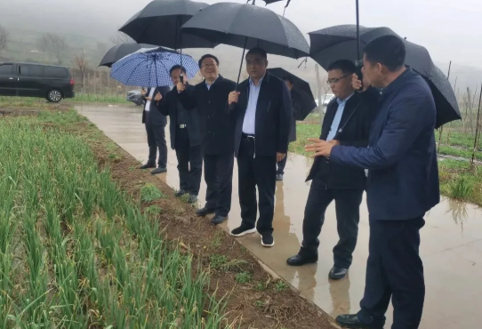 061617675987506022.png 7.png